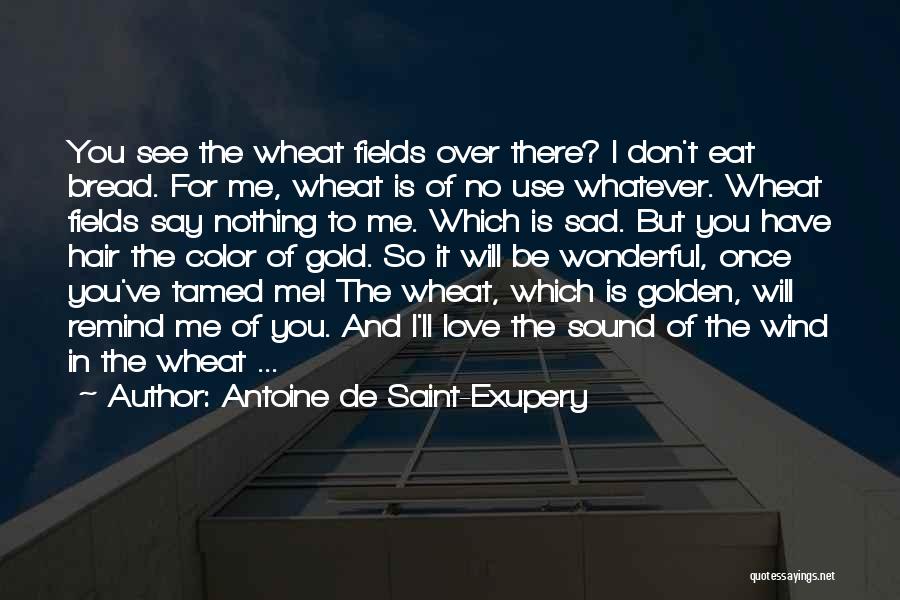 Golden Fields Quotes By Antoine De Saint-Exupery