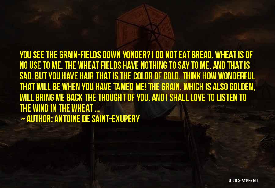 Golden Fields Quotes By Antoine De Saint-Exupery