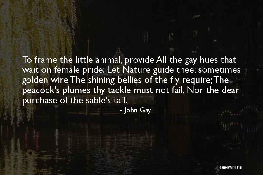 Golden Hues Quotes By John Gay