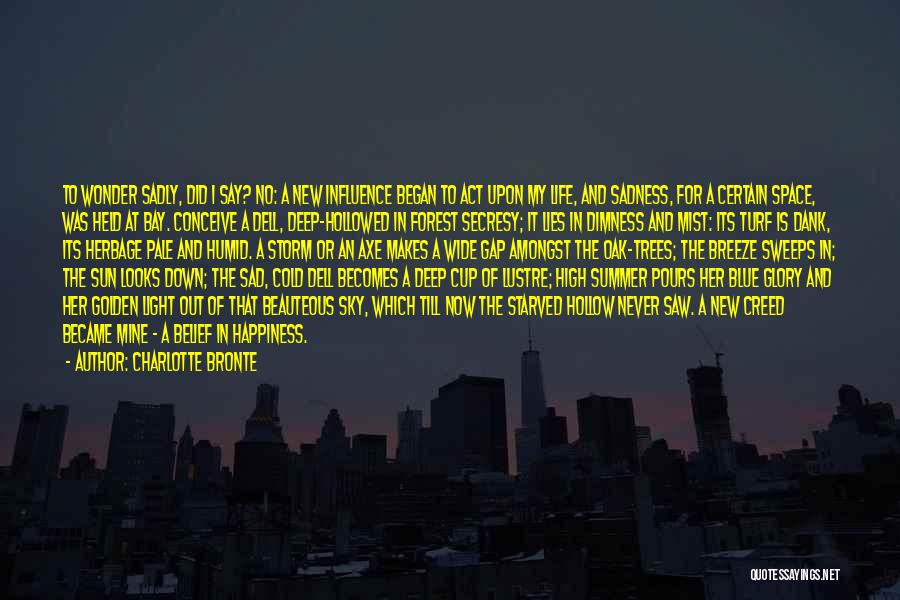 Golden Light Quotes By Charlotte Bronte