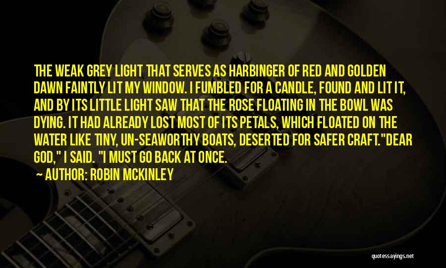 Golden Light Quotes By Robin McKinley