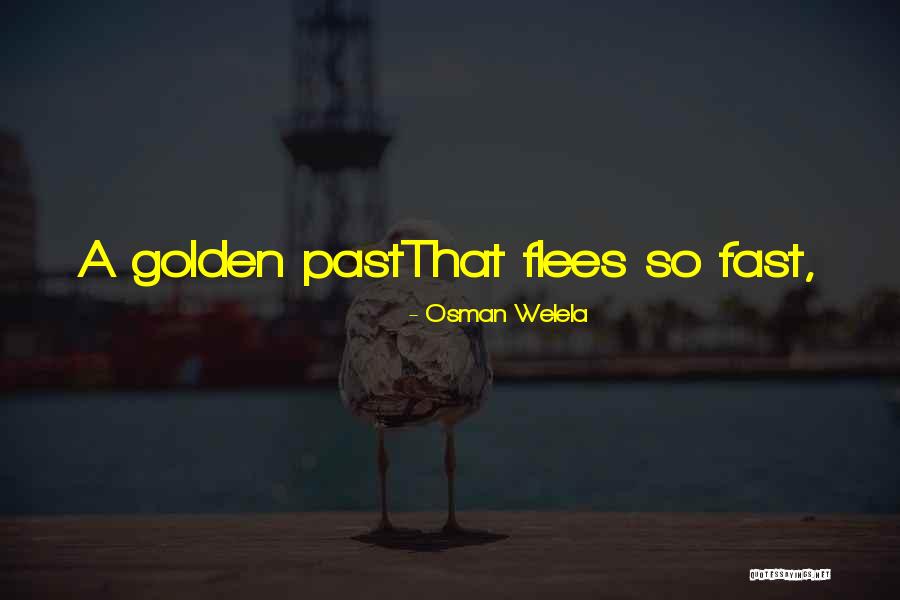 Golden Past Quotes By Osman Welela