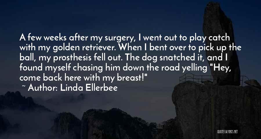 Golden Retriever Dog Quotes By Linda Ellerbee