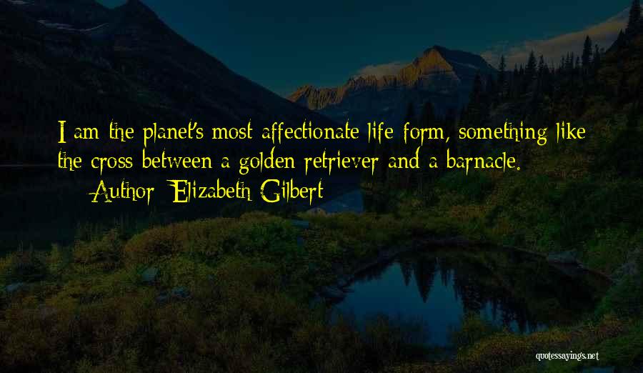 Golden Retriever Quotes By Elizabeth Gilbert