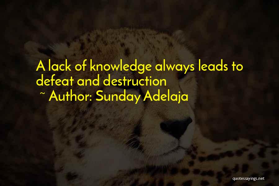 Golden Rule Quotes By Sunday Adelaja