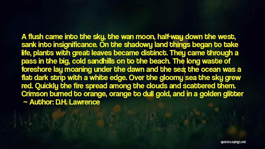 Golden Sun Dark Dawn Quotes By D.H. Lawrence