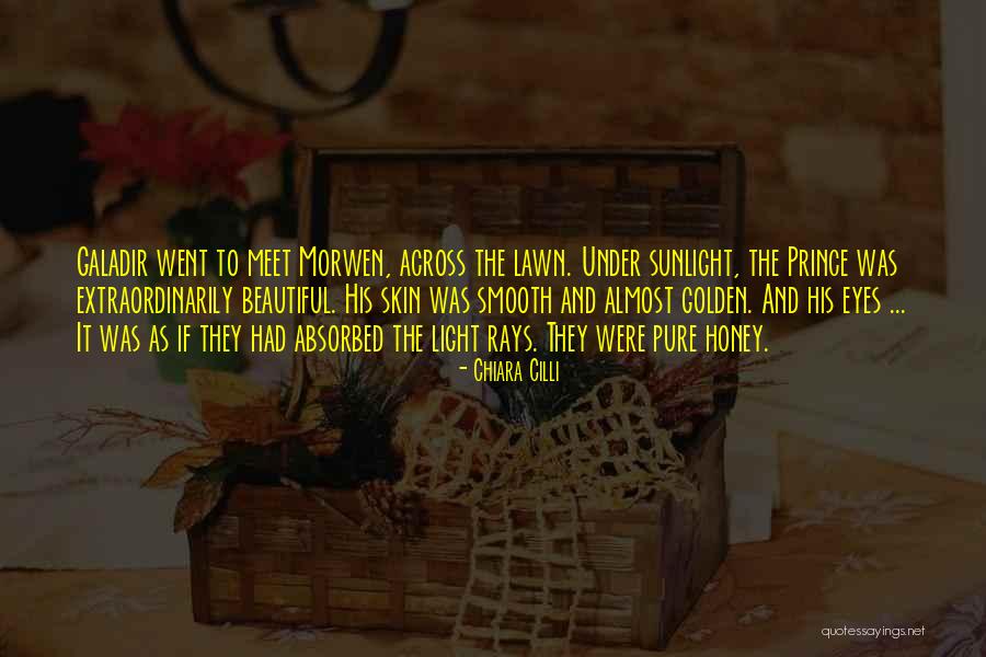 Golden Sunlight Quotes By Chiara Cilli Golden Sunlight Quotes By Chiara Cilli