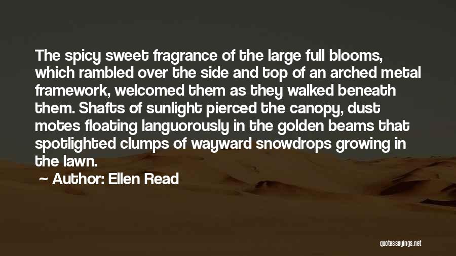 Golden Sunlight Quotes By Ellen Read
