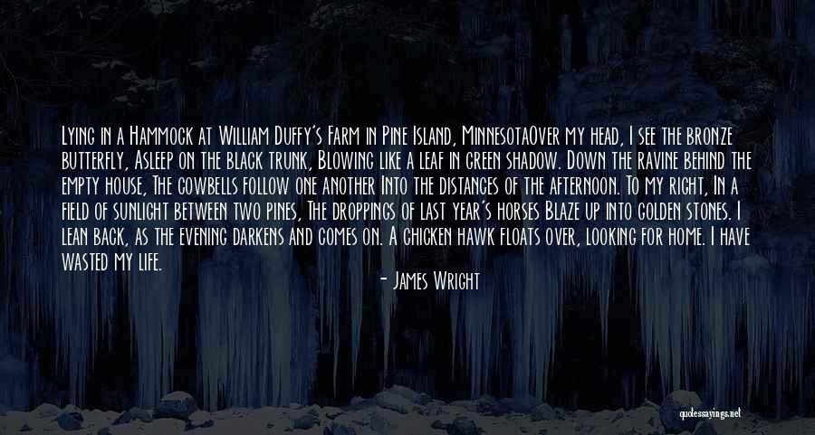 Golden Sunlight Quotes By James Wright Golden Sunlight Quotes By James Wright