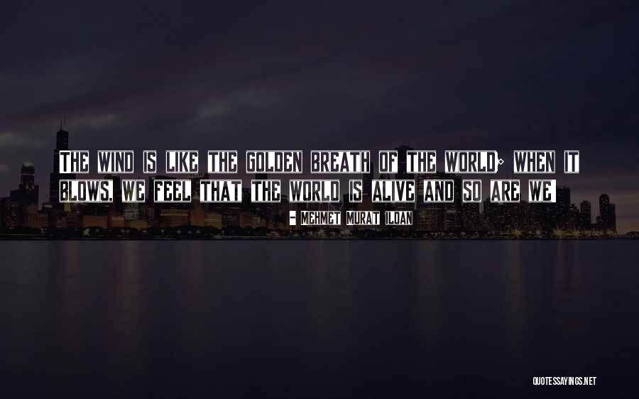 Golden World Quotes By Mehmet Murat Ildan Golden World Quotes By Mehmet Murat Ildan