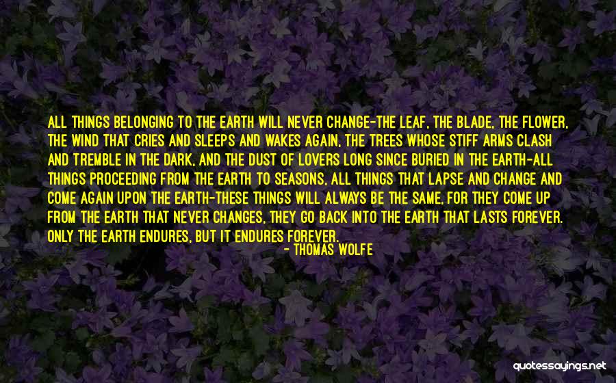 Goldfelder Quotes By Thomas Wolfe Goldfelder Quotes By Thomas Wolfe
