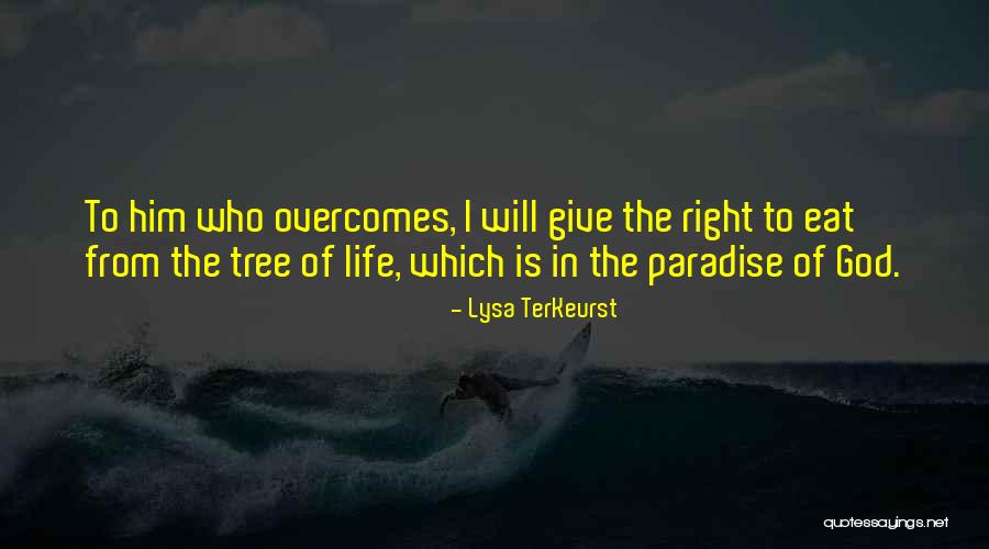 Goldfinches In Texas Quotes By Lysa TerKeurst Goldfinches In Texas Quotes By Lysa TerKeurst