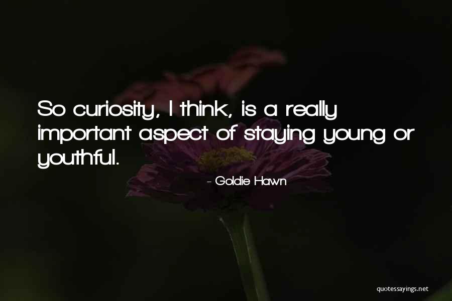 Goldie Hawn Quotes 1799391