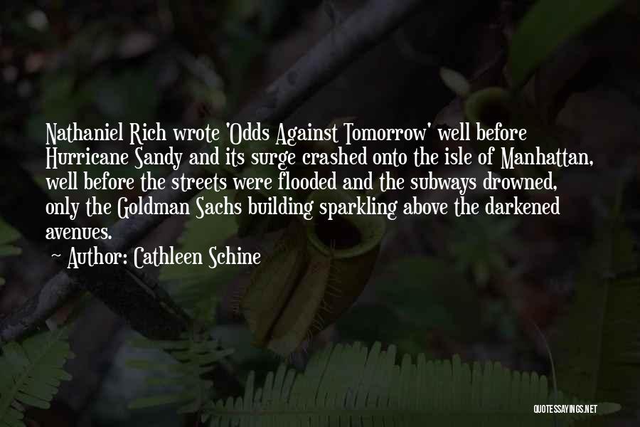 Goldman Sachs Quotes By Cathleen Schine