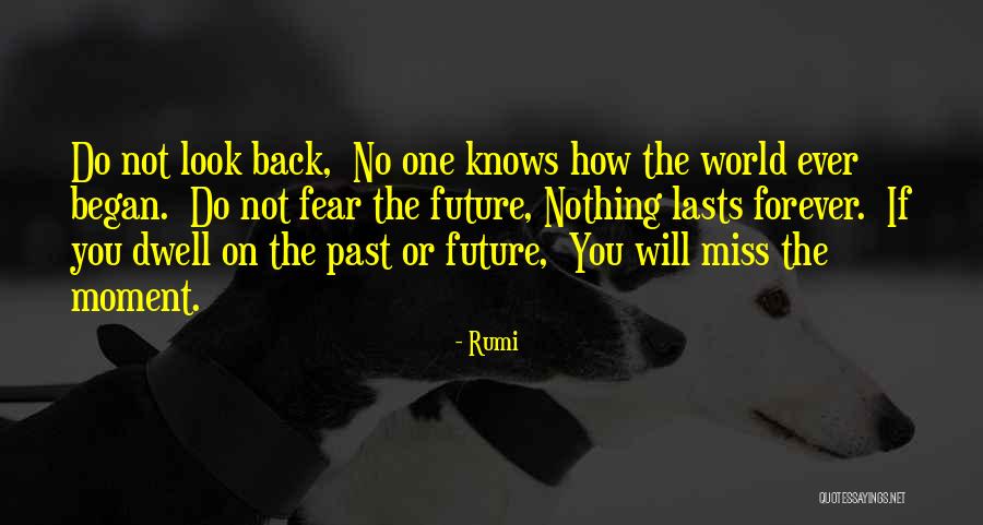 Goldroom Soundcloud Quotes By Rumi Goldroom Soundcloud Quotes By Rumi