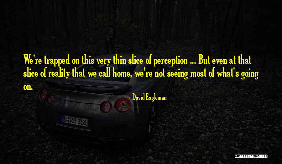 Golemis Quotes By David Eagleman Golemis Quotes By David Eagleman