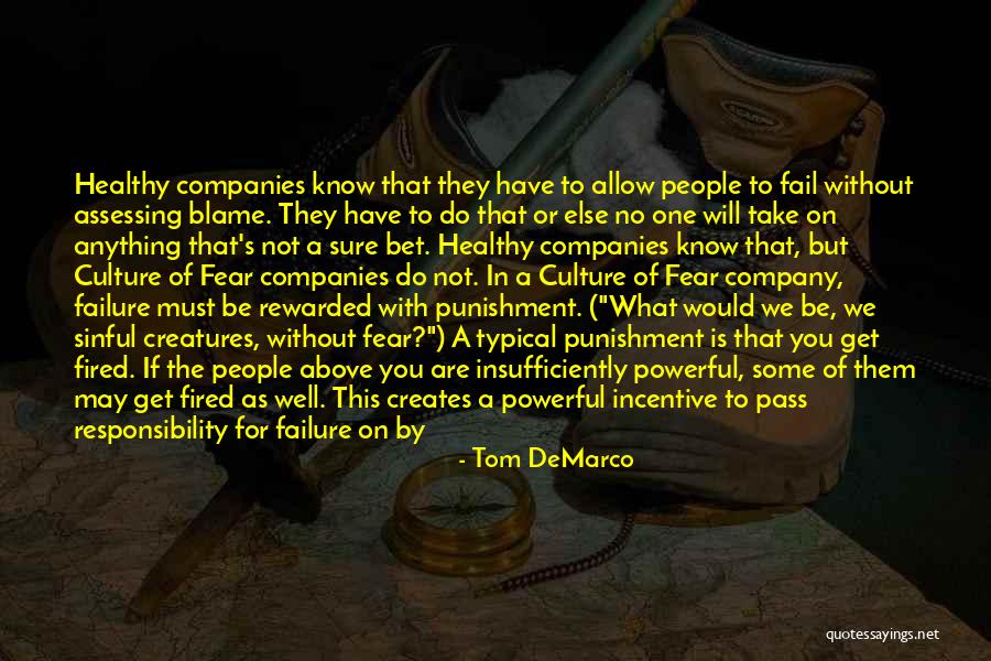 Golomb Research Quotes By Tom DeMarco Golomb Research Quotes By Tom DeMarco