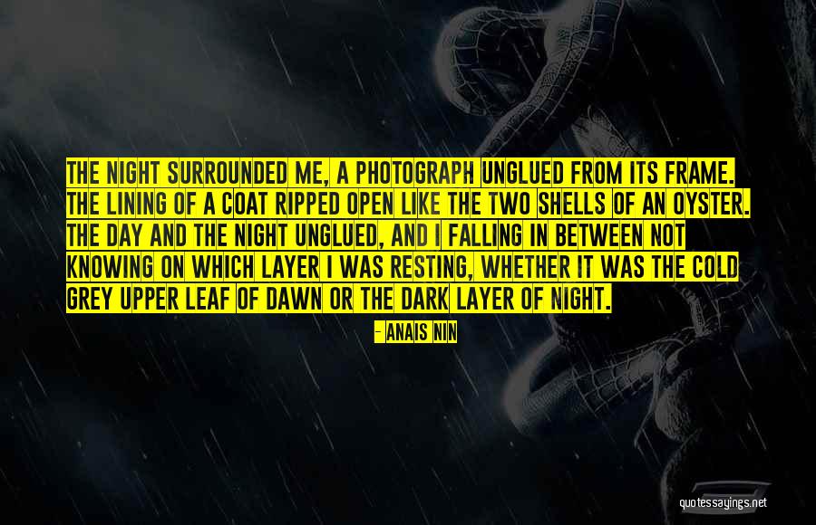 Golphin Brothers Quotes By Anais Nin Golphin Brothers Quotes By Anais Nin