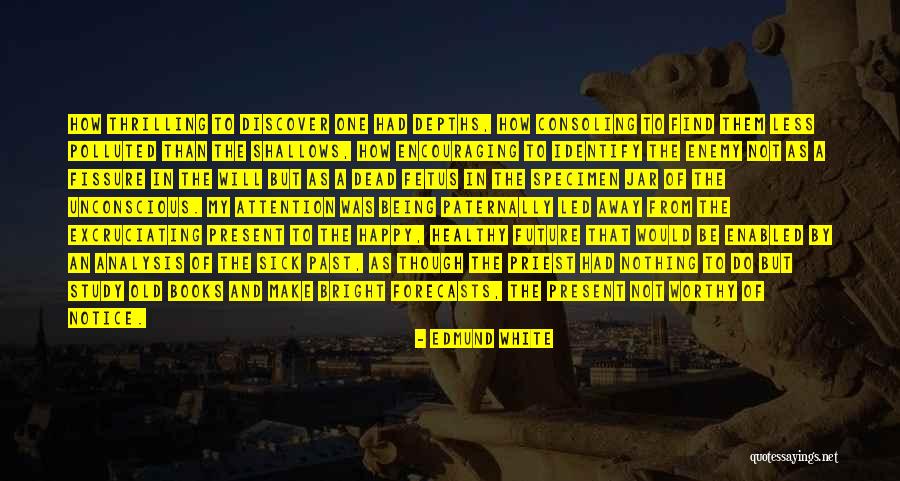 Gombrowicz Kosmos Quotes By Edmund White Gombrowicz Kosmos Quotes By Edmund White