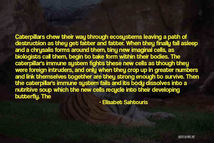Gomenasai Kanji Quotes By Elisabet Sahtouris Gomenasai Kanji Quotes By Elisabet Sahtouris