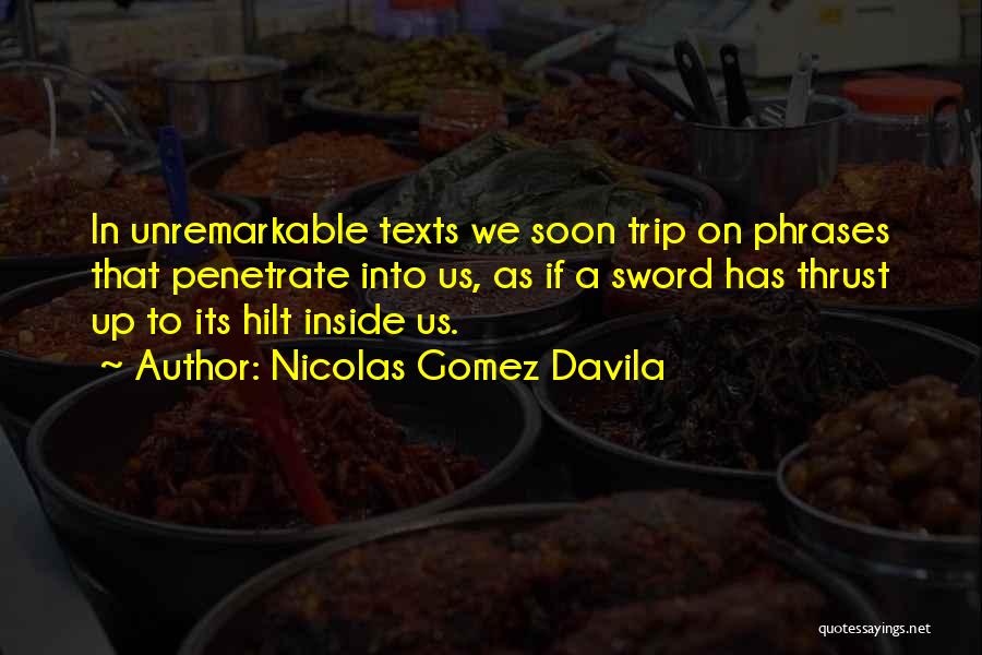 Gomez Quotes By Nicolas Gomez Davila