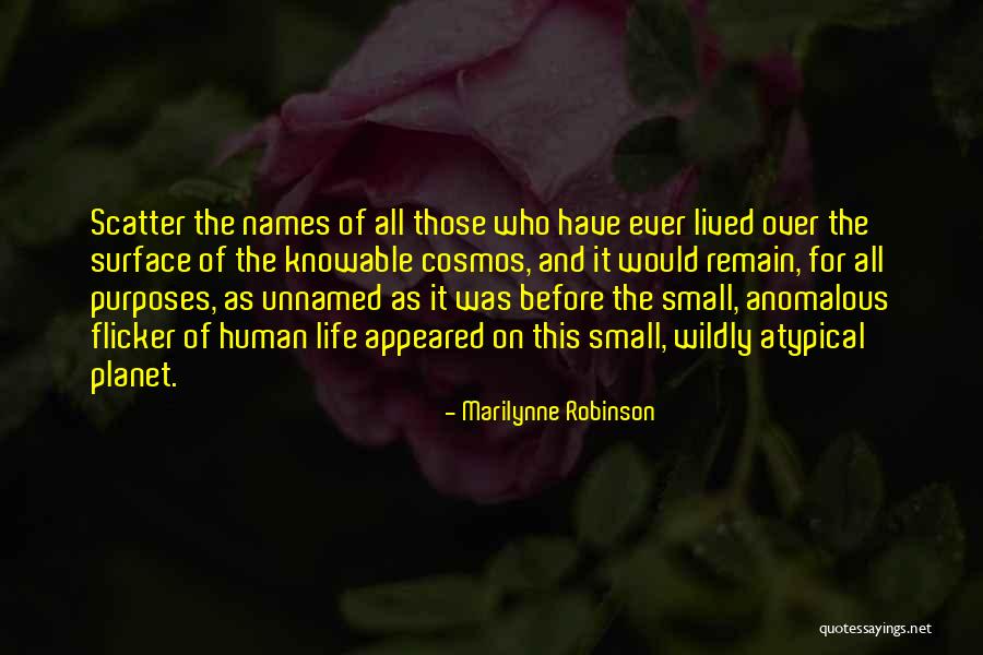 Gomier Tricycles Quotes By Marilynne Robinson Gomier Tricycles Quotes By Marilynne Robinson
