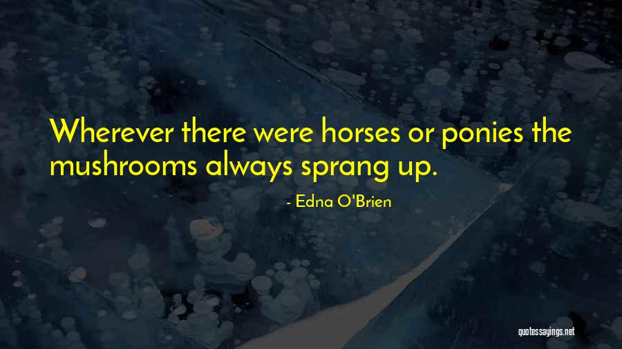 Gomisa Quotes By Edna O'Brien Gomisa Quotes By Edna O'Brien
