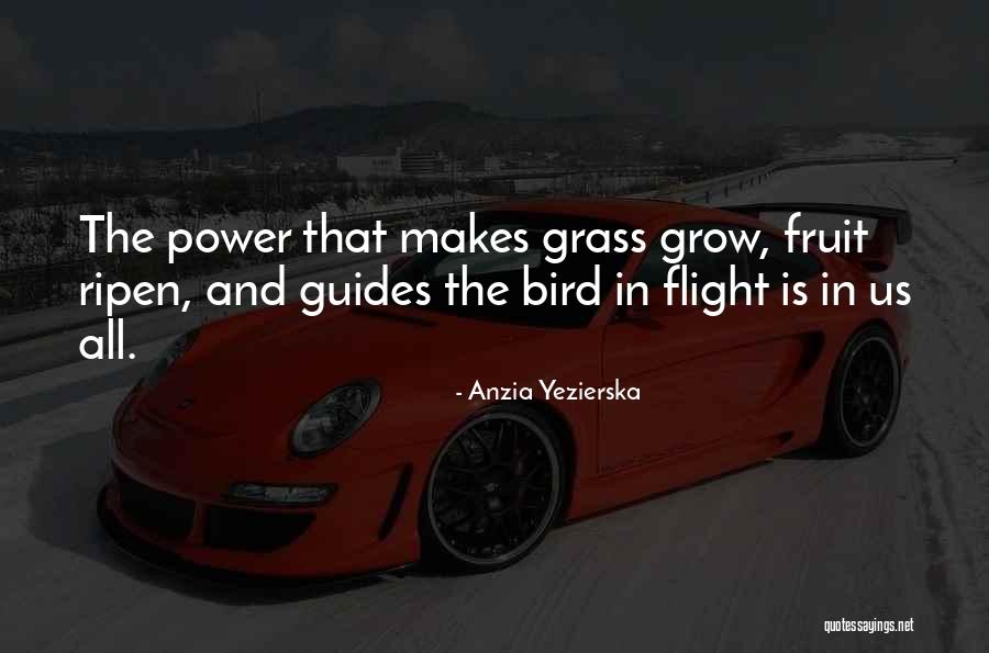 Gonads Hormones Quotes By Anzia Yezierska Gonads Hormones Quotes By Anzia Yezierska