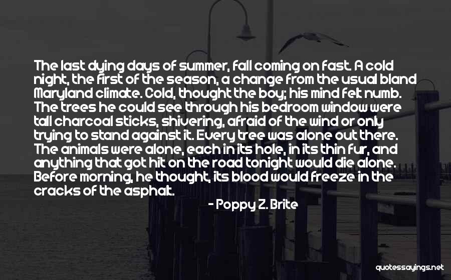 Goncalo Amaral Quotes By Poppy Z. Brite