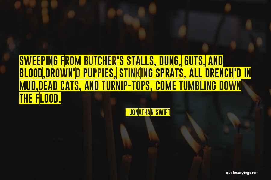 Gondola Shelving Quotes By Jonathan Swift Gondola Shelving Quotes By Jonathan Swift