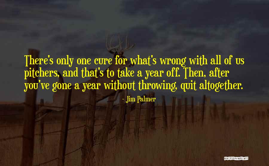 Gone A Year Quotes By Jim Palmer