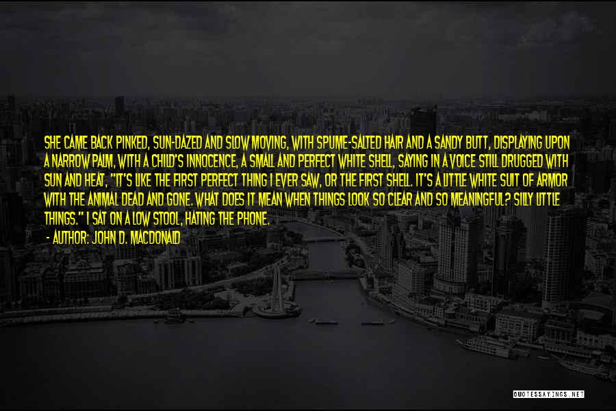 Gone And Back Quotes By John D. MacDonald Gone And Back Quotes By John D. MacDonald