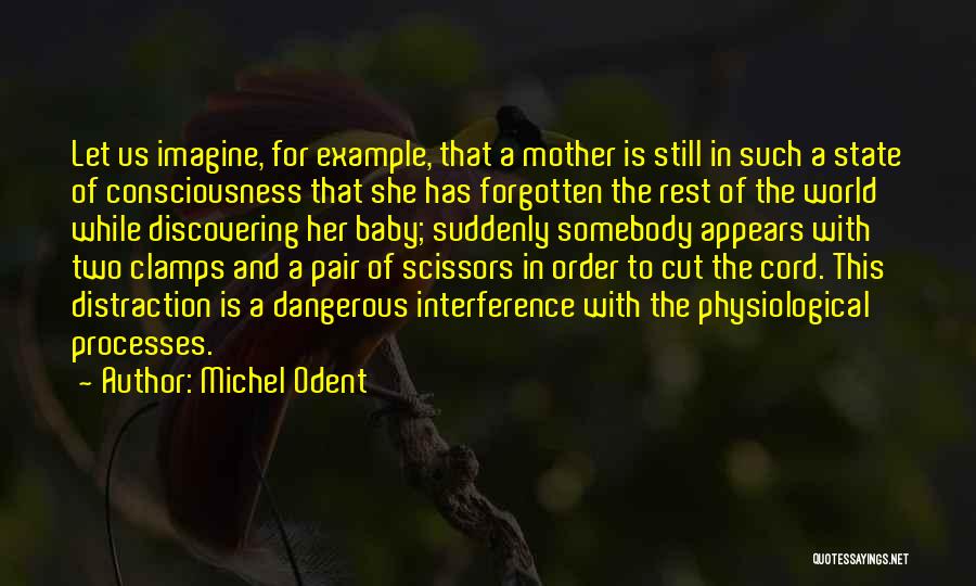 Gone But Not Forgotten Baby Quotes By Michel Odent