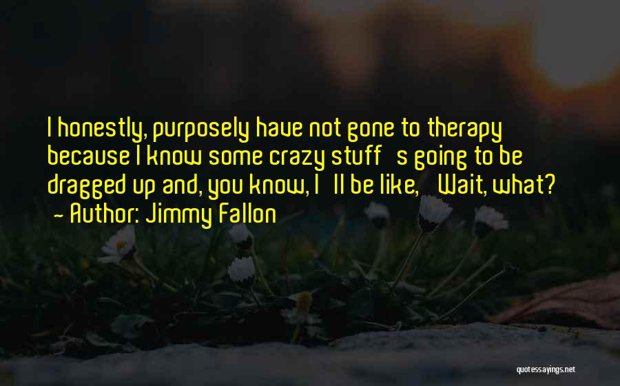 Gone Crazy Quotes By Jimmy Fallon