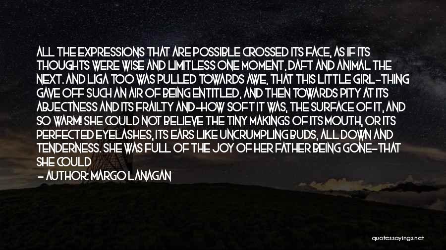 Gone Girl Margo Quotes By Margo Lanagan