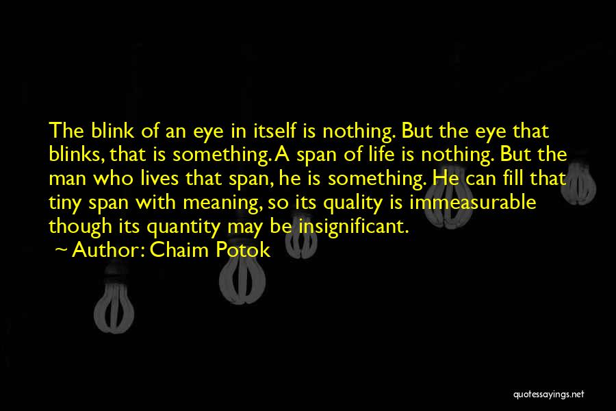 Gone In A Blink Of An Eye Quotes By Chaim Potok