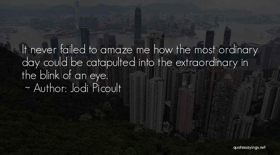 Gone In A Blink Of An Eye Quotes By Jodi Picoult