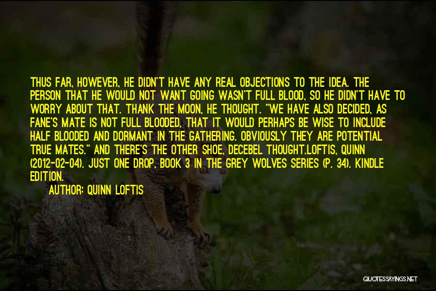 Gone Series Quinn Quotes By Quinn Loftis