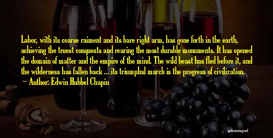 Gone Wild Quotes By Edwin Hubbel Chapin
