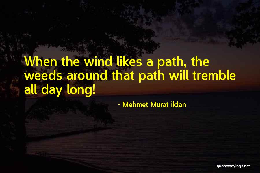 Gone With The Wind Quotes Quotes By Mehmet Murat Ildan Gone With The Wind Quotes Quotes By Mehmet Murat Ildan