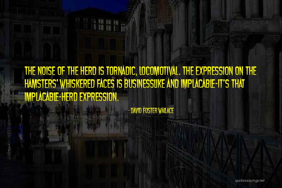 Gonjasufi Interview Quotes By David Foster Wallace Gonjasufi Interview Quotes By David Foster Wallace