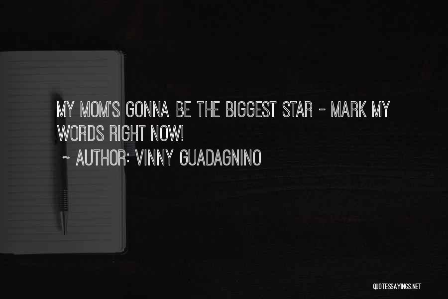 Gonna Be A Mom Quotes By Vinny Guadagnino