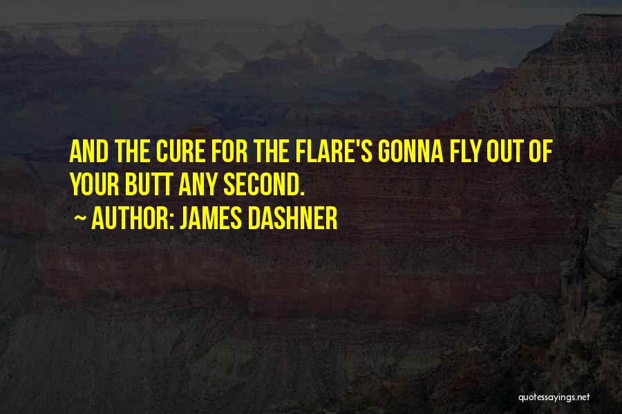 Gonna Fly Quotes By James Dashner