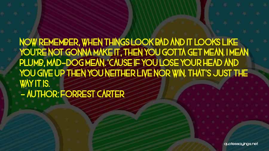 Gonna Make It Quotes By Forrest Carter