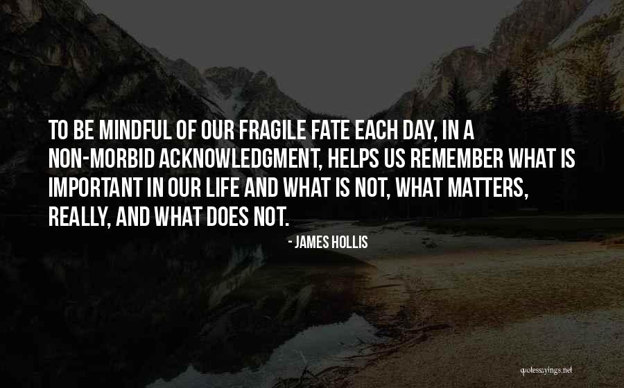 Gonne 6 Quotes By James Hollis Gonne 6 Quotes By James Hollis