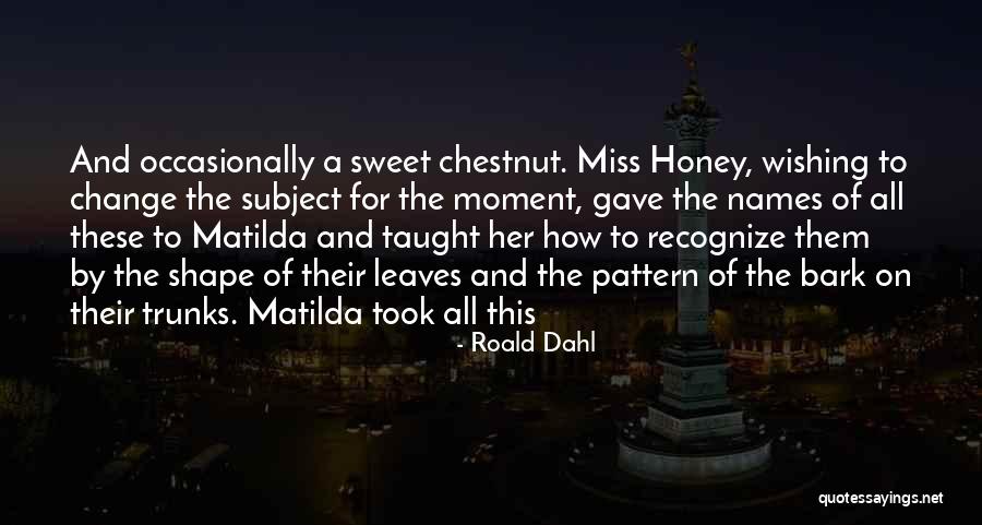 Gonner Quotes By Roald Dahl Gonner Quotes By Roald Dahl