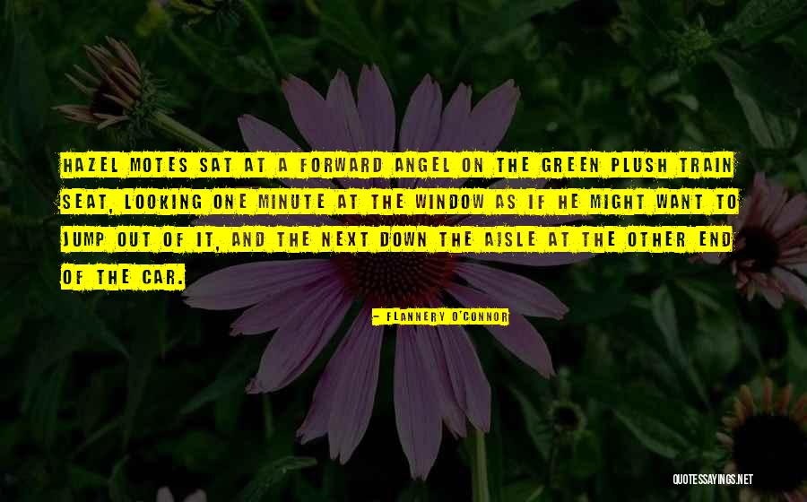 Gontero Quotes By Flannery O'Connor