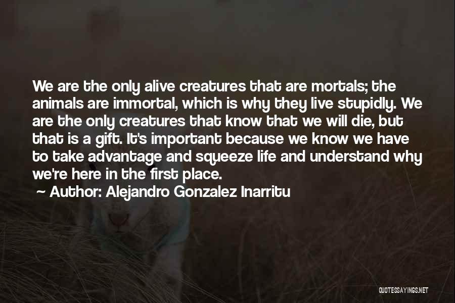 Gonzalez Inarritu Quotes By Alejandro Gonzalez Inarritu