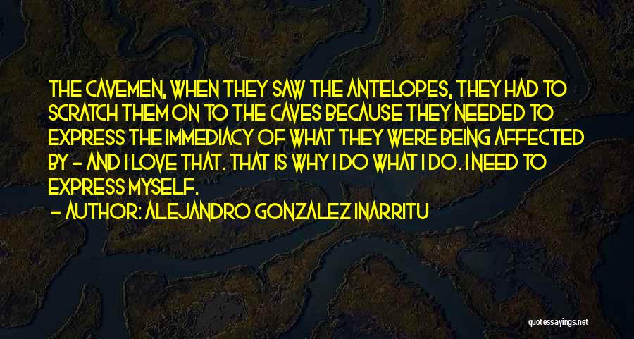 Gonzalez Inarritu Quotes By Alejandro Gonzalez Inarritu