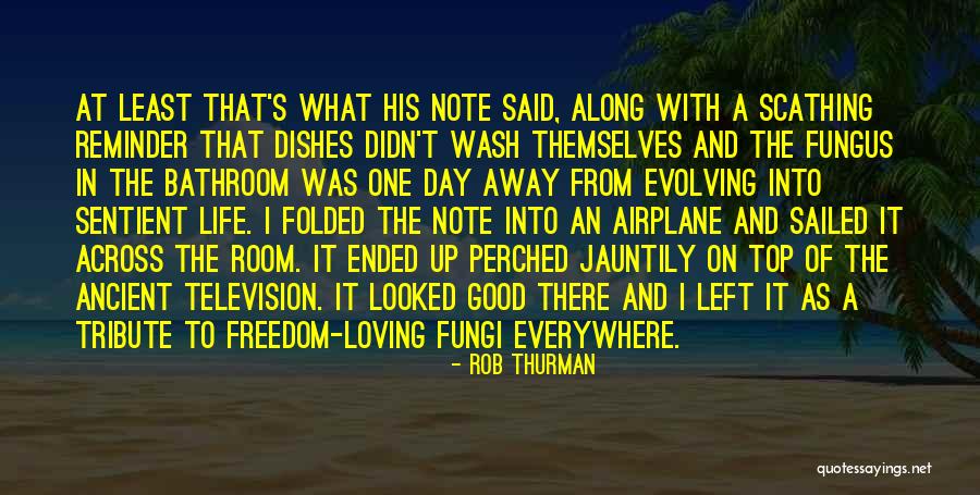 Good 9/11 Tribute Quotes By Rob Thurman Good 9/11 Tribute Quotes By Rob Thurman